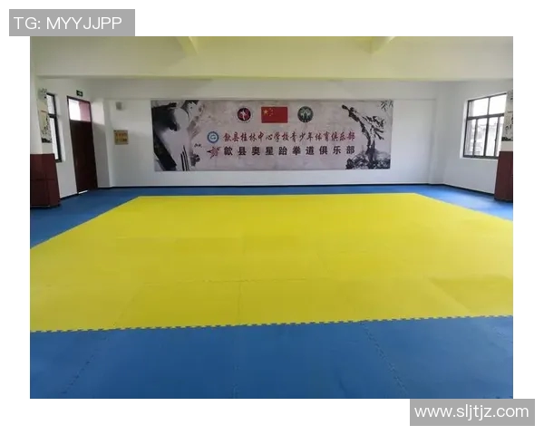 体育俱乐部整改报告及未来发展规划的全面分析与建议