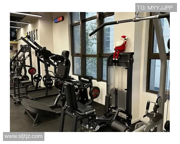 儿童体育用品与健身器材的完美结合助力孩子健康成长与快乐运动