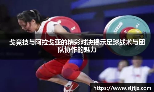 芒果体育官网